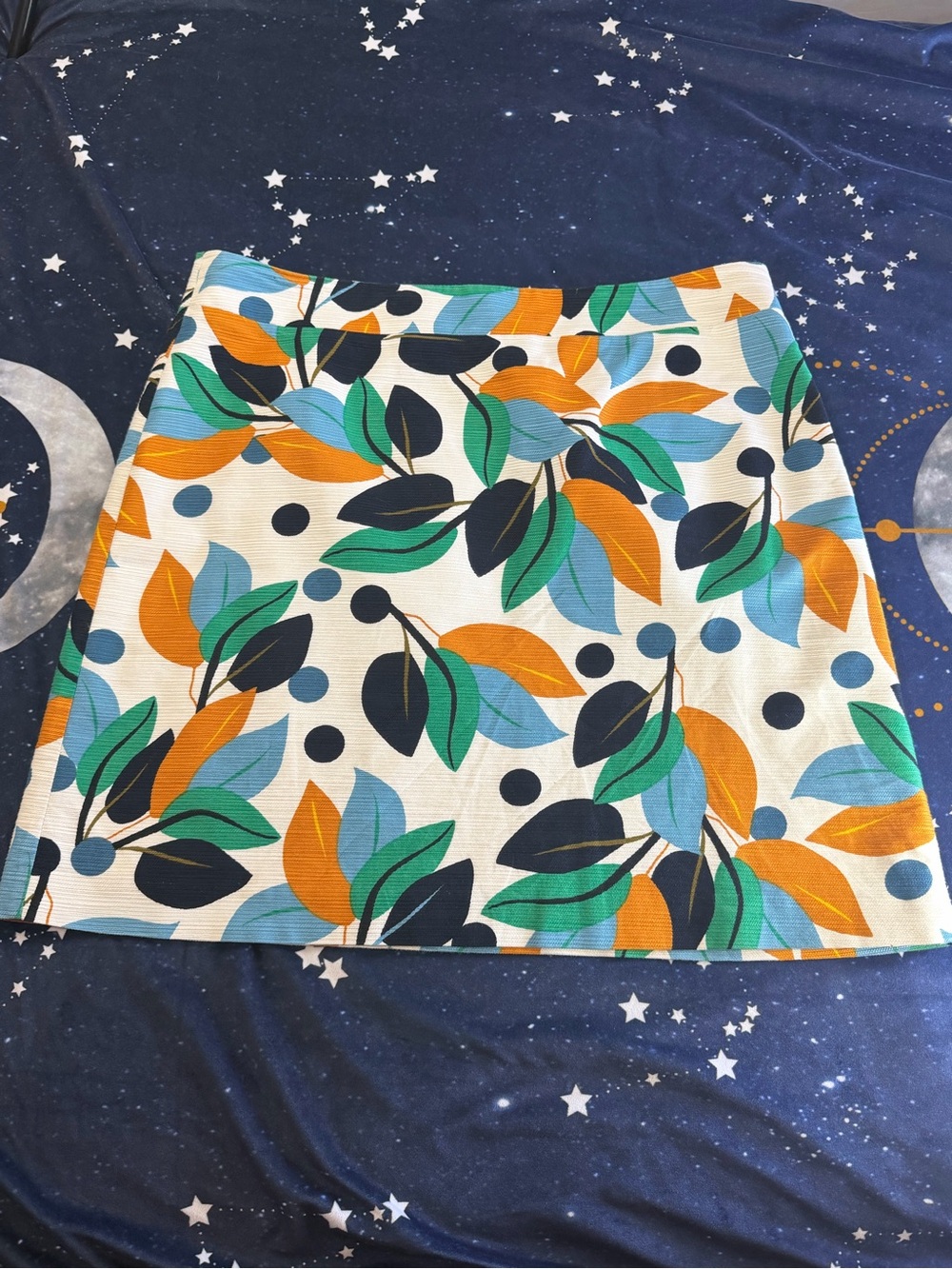Women’s Ann Taylor Skirt